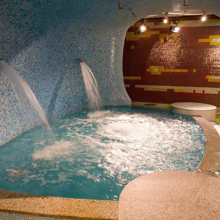 タリンク スパ＆カンフェランス ホテル 4*