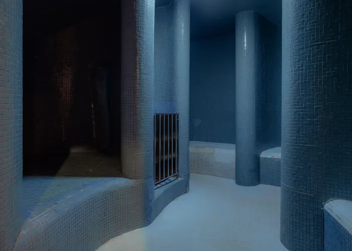 Tallink & Conference 4*